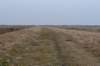 ameland2021_139_small.jpg