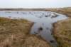 ameland2021_141_small.jpg