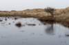ameland2021_142_small.jpg
