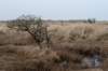 ameland2021_143_small.jpg