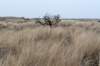 ameland2021_144_small.jpg