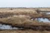 ameland2021_145_small.jpg