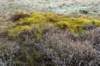 ameland2021_148_small.jpg