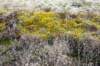 ameland2021_149_small.jpg