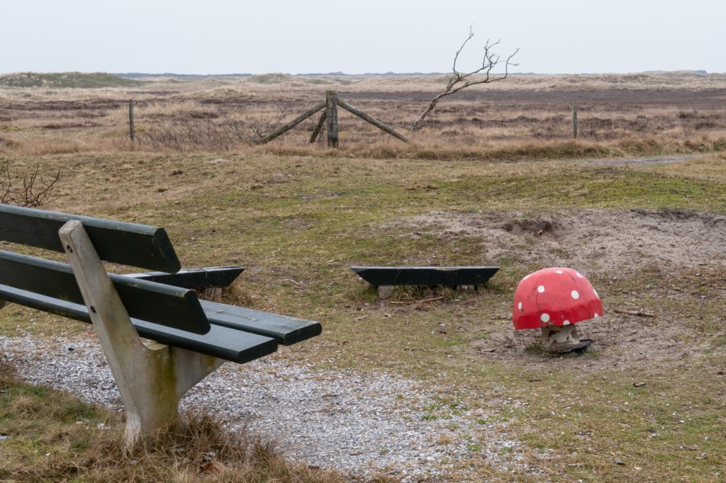 ameland2021_150.jpg