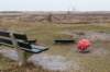 ameland2021_150_small.jpg