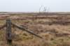 ameland2021_151_small.jpg