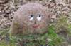 ameland2021_152_small.jpg