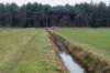 ameland2021_155_small.jpg
