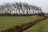 ameland2021_156_small.jpg