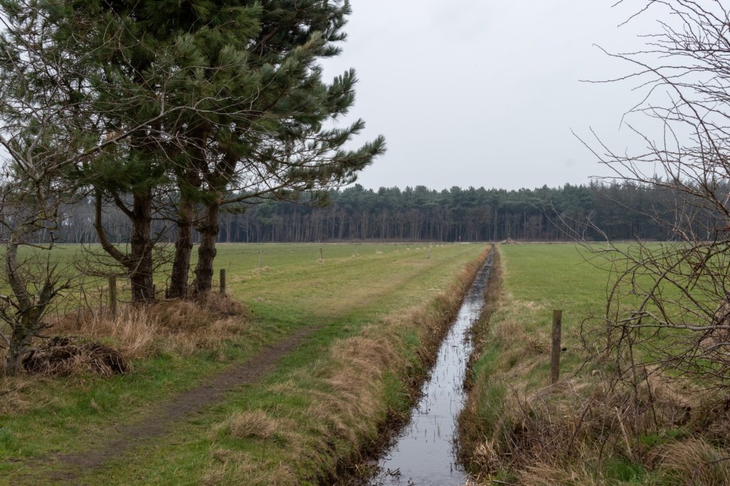 ameland2021_159.jpg