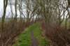 ameland2021_161_small.jpg