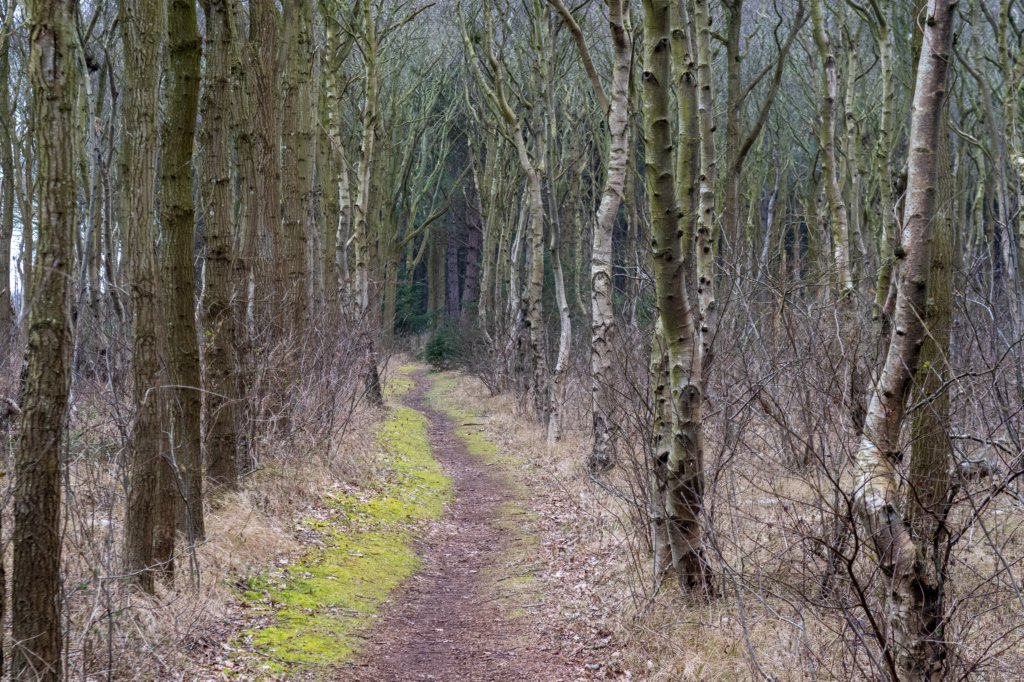 ameland2021_167.jpg