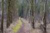 ameland2021_167_small.jpg