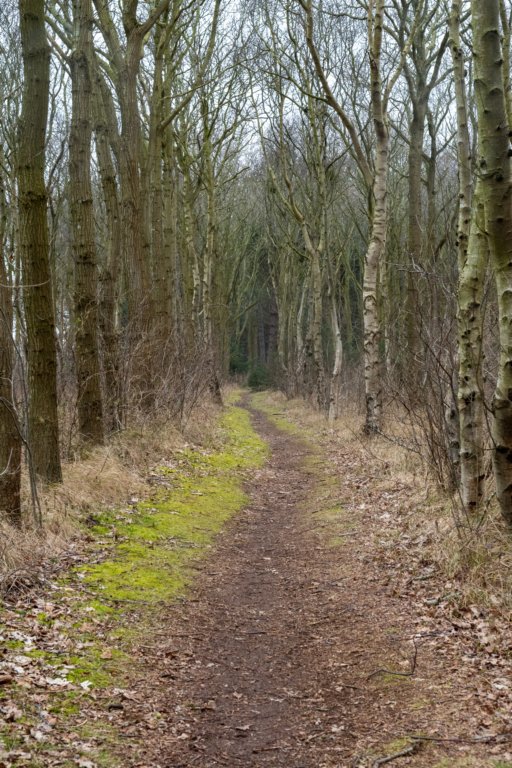 ameland2021_168.jpg