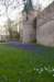 afoort_006_small.jpg