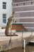 afoort_014_small.jpg