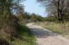 wlduinen_006_small.jpg