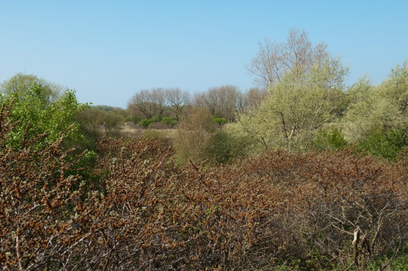 wlduinen_008.jpg
