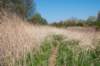 wlduinen_011_small.jpg