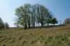 wlduinen_012_small.jpg