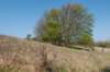 wlduinen_014_small.jpg
