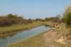 wlduinen_016_small.jpg