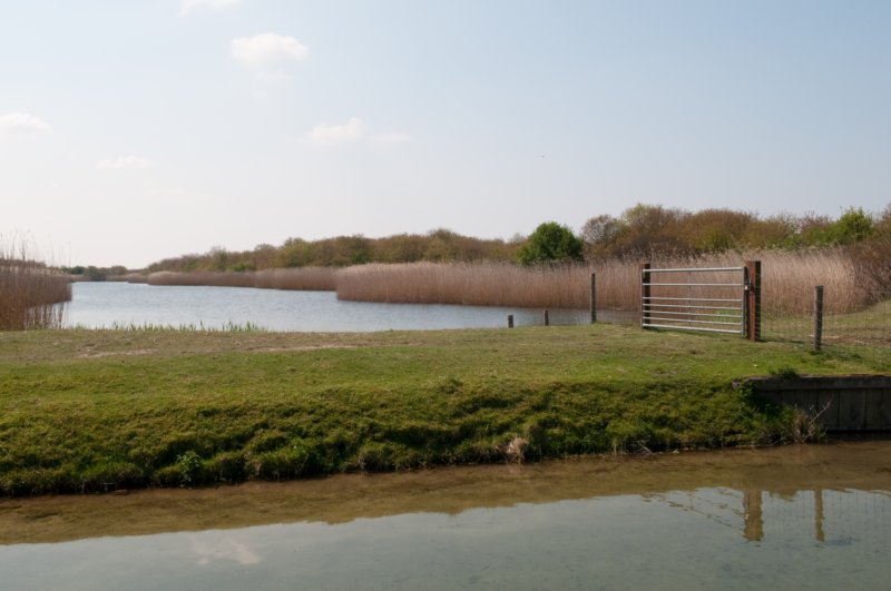 wlduinen_019.jpg