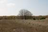 wlduinen_023_small.jpg