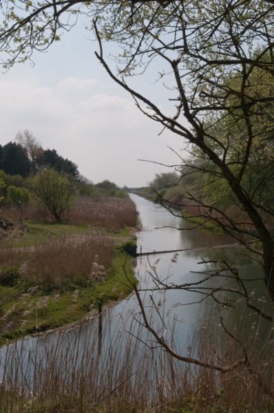 wlduinen_029.jpg
