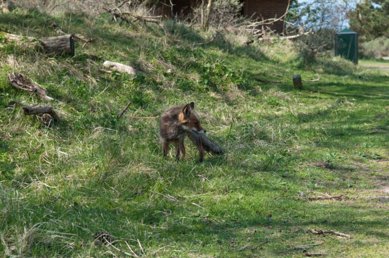 wlduinen_032.jpg