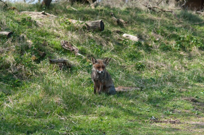 wlduinen_035.jpg