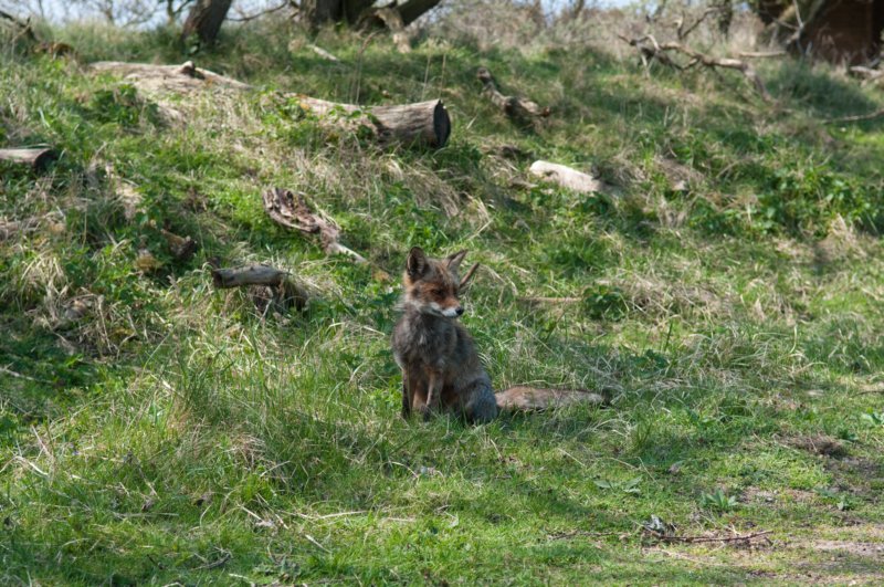 wlduinen_039.jpg