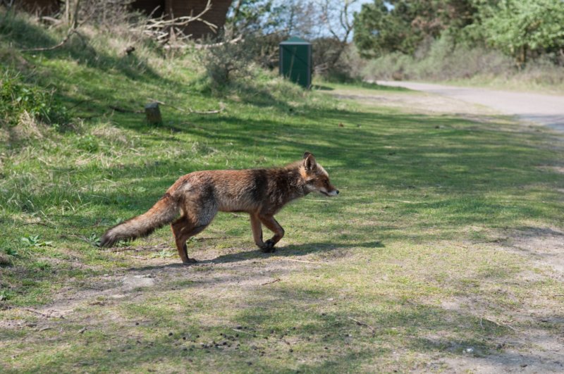 wlduinen_041.jpg