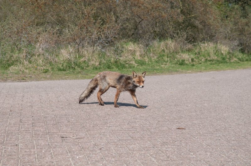 wlduinen_044.jpg