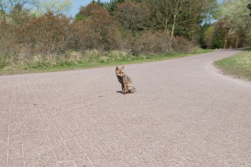 wlduinen_047.jpg
