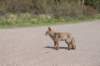 wlduinen_048_small.jpg
