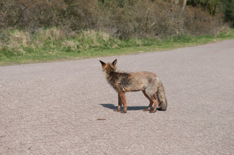 wlduinen_049.jpg