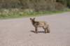 wlduinen_049_small.jpg