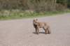 wlduinen_050_small.jpg