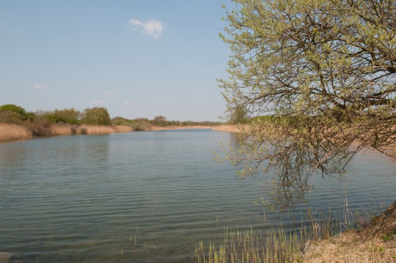 wlduinen_052.jpg