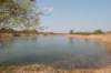 wlduinen_053_small.jpg