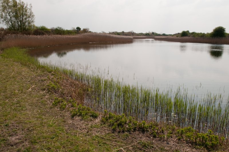 wlduinen_054.jpg