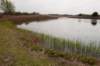 wlduinen_054_small.jpg