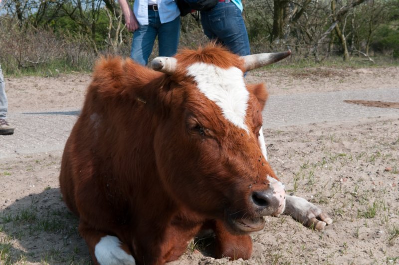 wlduinen_057.jpg