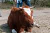 wlduinen_057_small.jpg