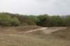 wlduinen_060_small.jpg