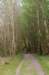 wlduinen_063_small.jpg