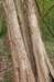 wlduinen_065_small.jpg