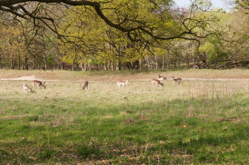 wlduinen_067.jpg